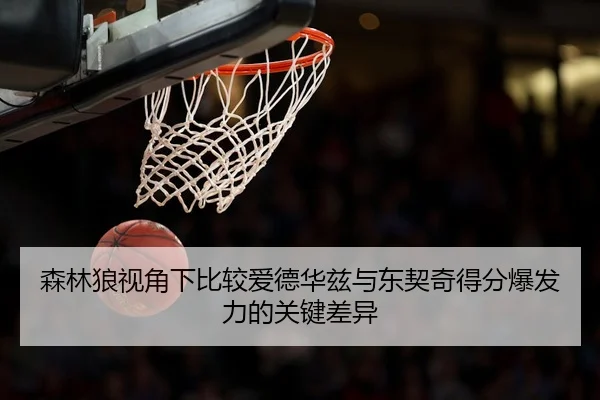 森林狼视角下比较爱德华兹与东契奇得分爆发力的关键差异