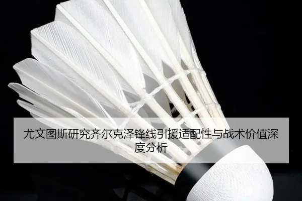尤文图斯研究齐尔克泽锋线引援适配性与战术价值深度分析